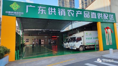 奮戰(zhàn)百千萬工程 廣東供銷農(nóng)產(chǎn)品直供配送臺山服務(wù)中心揭牌成立