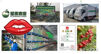 西安食材配送服務(wù)中心 專業(yè)一站式配送服務(wù)，助力餐飲與家庭食材供應(yīng)